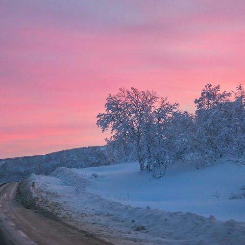 Photo #10058936
