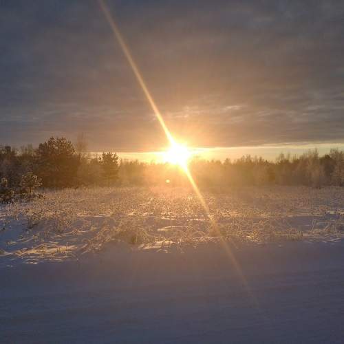 Photo #10059357