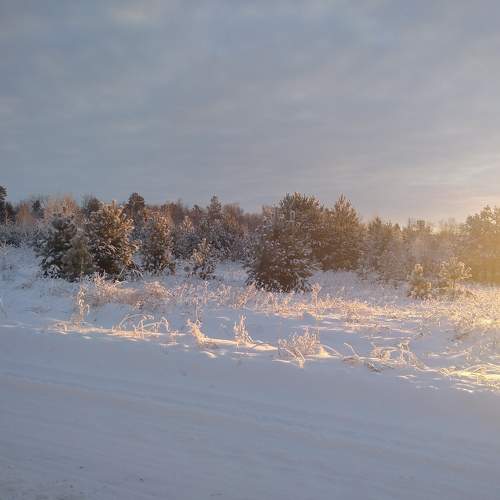Photo #10059358