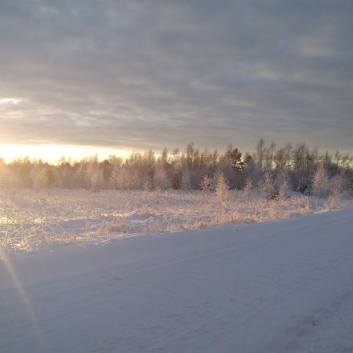 Photo #10059359