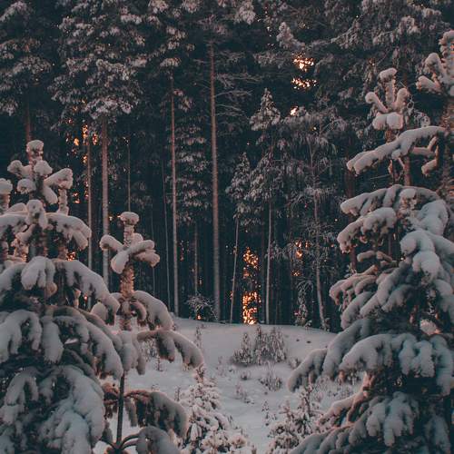 Photo #10059473