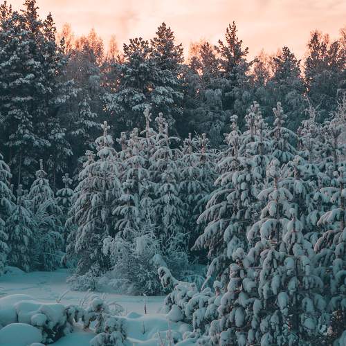 Photo #10059475