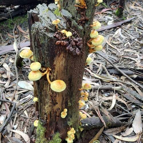Photo #10059901
