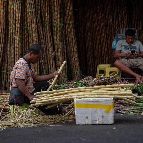 Photo #10060090