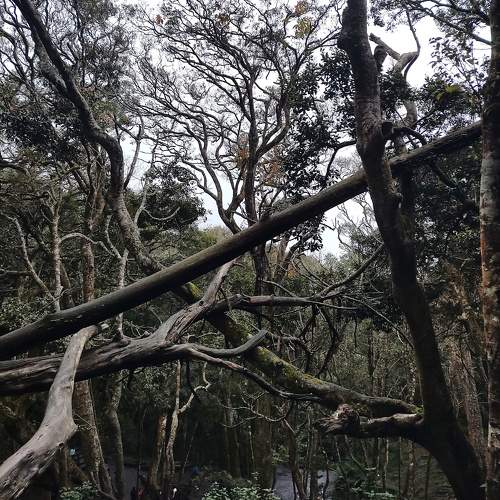 Photo #10060413