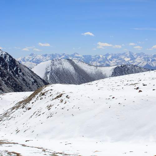 Photo #10060576