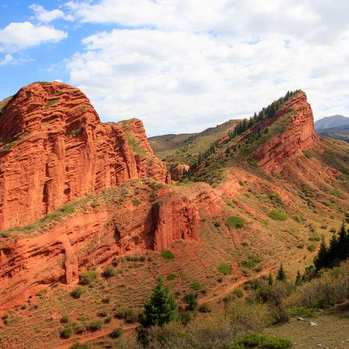 Photo #10060608