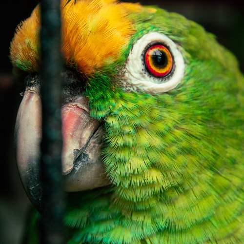 Photo #10060674