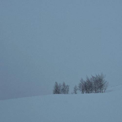 Photo #10060685