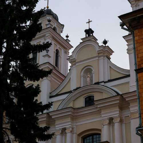 Photo #10060950