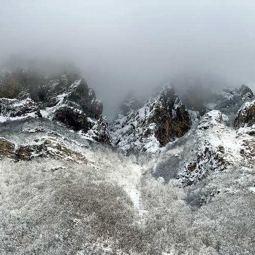 Photo #10061077