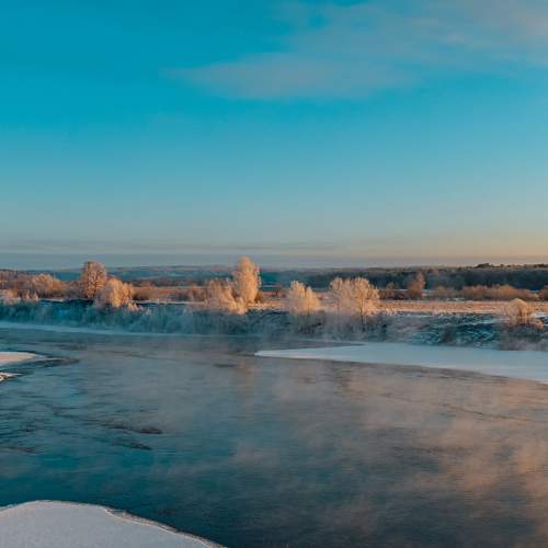 Photo #10061864