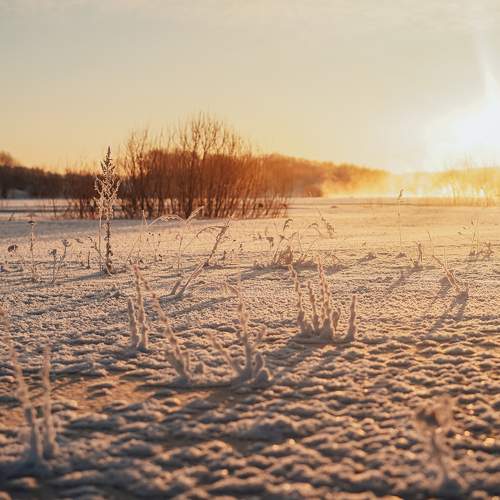 Photo #10061889