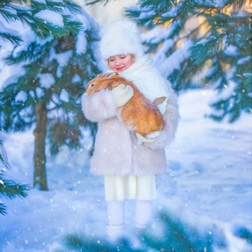 Photo #10061903