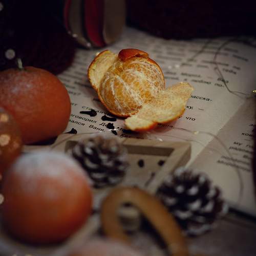 Photo #10061990