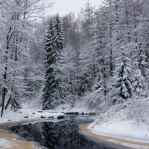 Photo #10062130