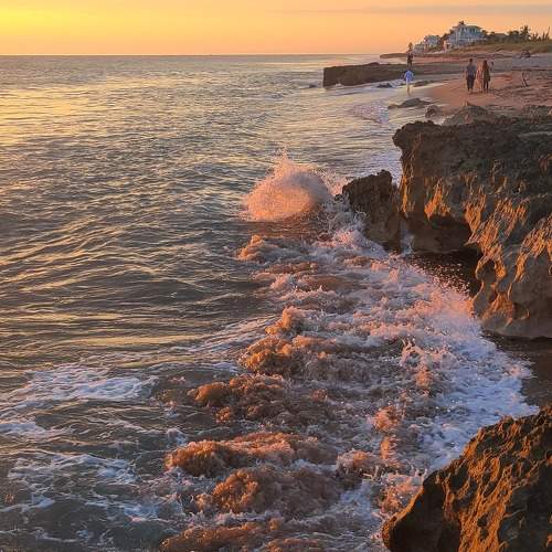 Photo #10062192