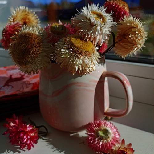 Photo #10062508