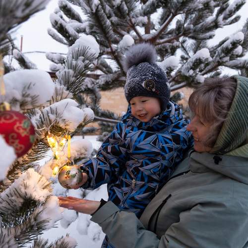 Photo #10062590