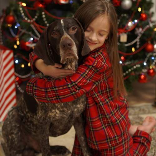 Photo #10063269