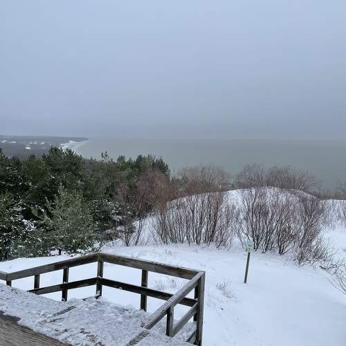 Photo #10063632