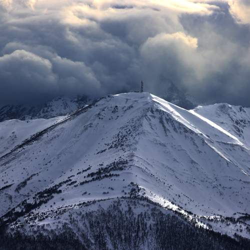 Photo #10063799