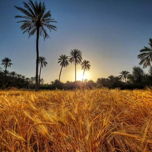 Photo #10063808