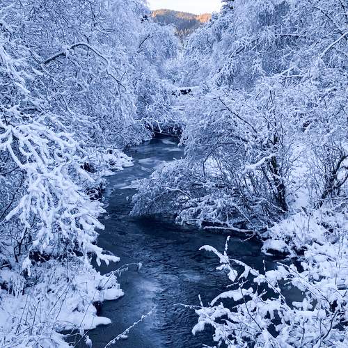Photo #10063846