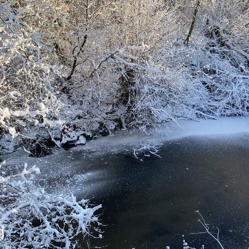 Photo #10063851