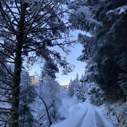 Photo #10063855