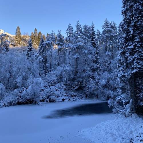 Photo #10063865