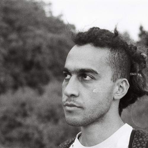 Photo #10064062