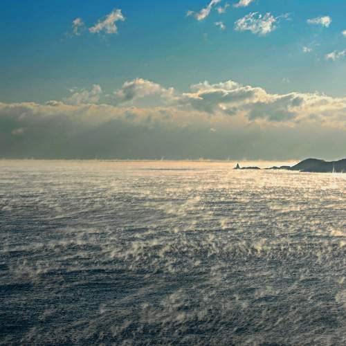 Photo #10064082
