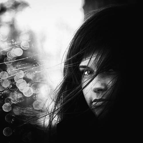 Photo #10064399