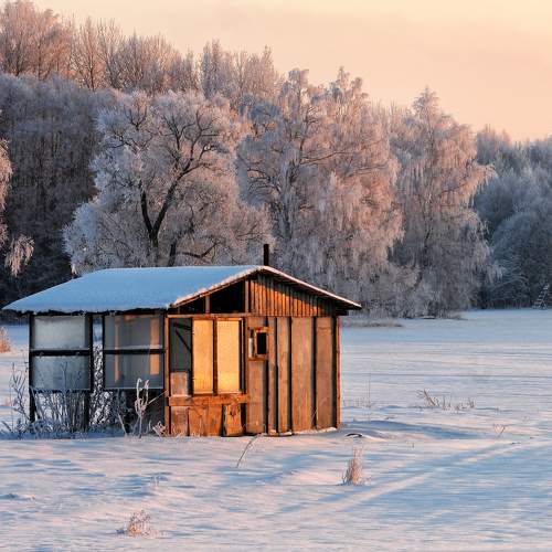 Photo #10064411