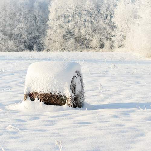 Photo #10064414