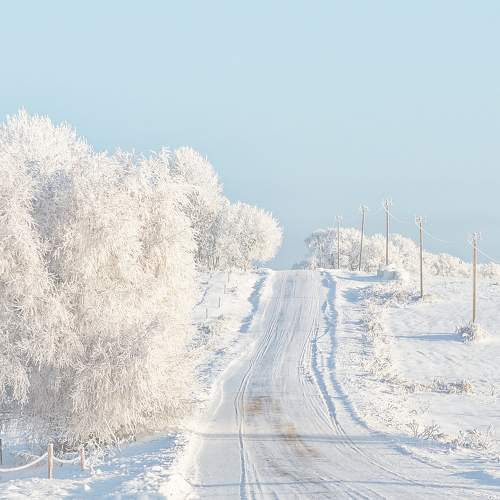 Photo #10064416