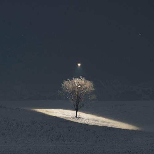 Photo #10064612
