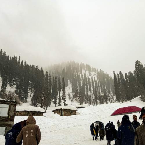 Photo #10064676