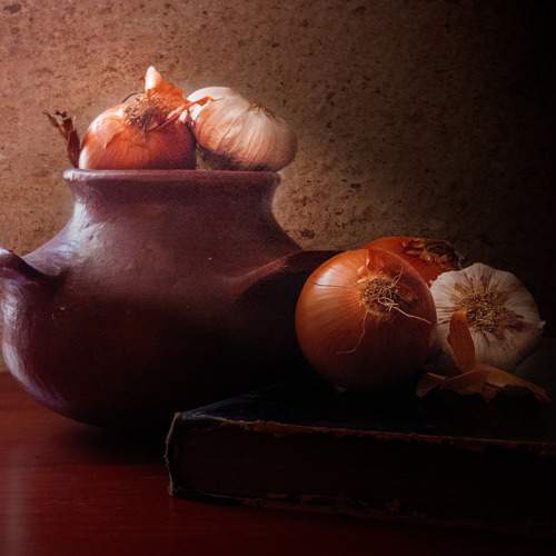 Photo #10065529