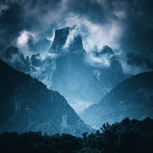 Photo #10065746