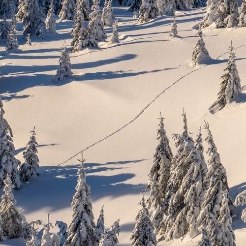 Photo #10065874
