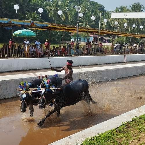 Photo #10066066