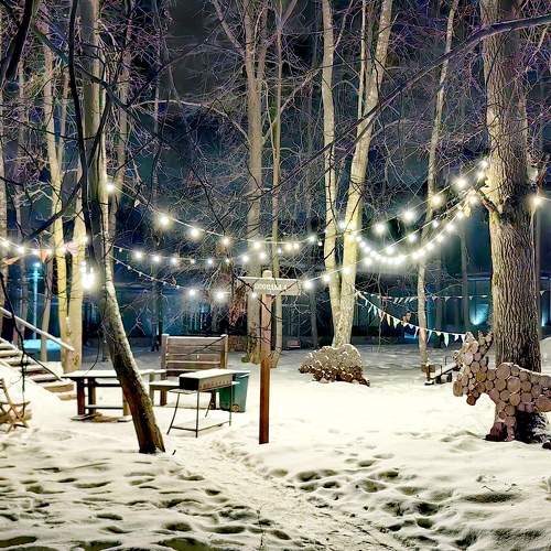 Photo #10066097