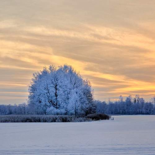 Photo #10066262
