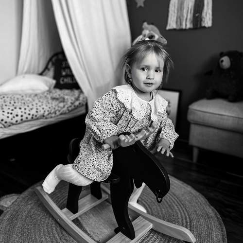 Photo #10066384