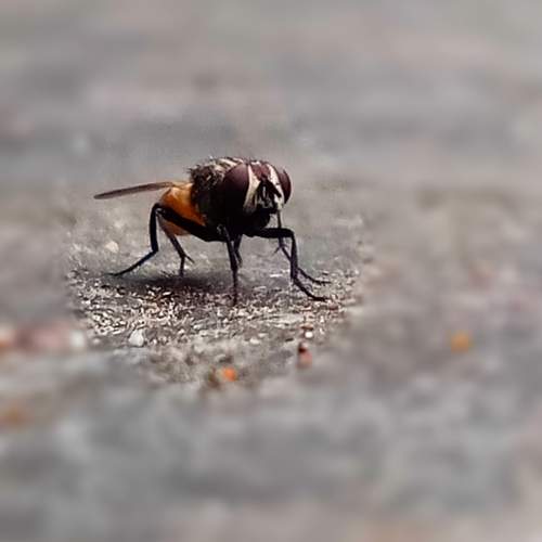 Photo #10066613