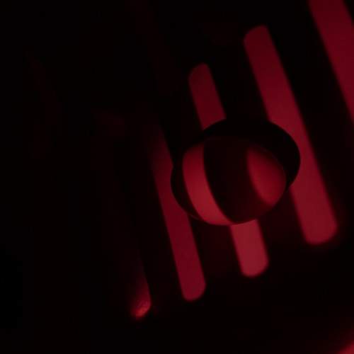 Photo #10066740