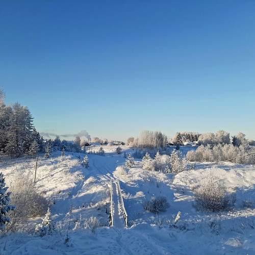 Photo #10066894