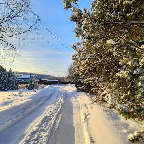 Photo #10067018